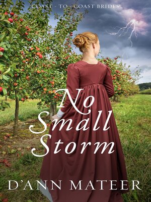 cover image of No Small Storm
